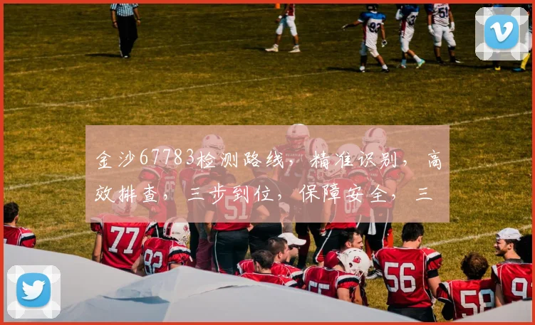 金沙67783检测路线，精准识别，高效排查，三步到位，保障安全，三重保障，不容忽视，必看攻略