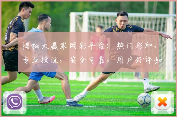 揭秘大赢家网彩平台：热门彩种，专业投注，安全可靠，用户好评如潮，必看攻略
