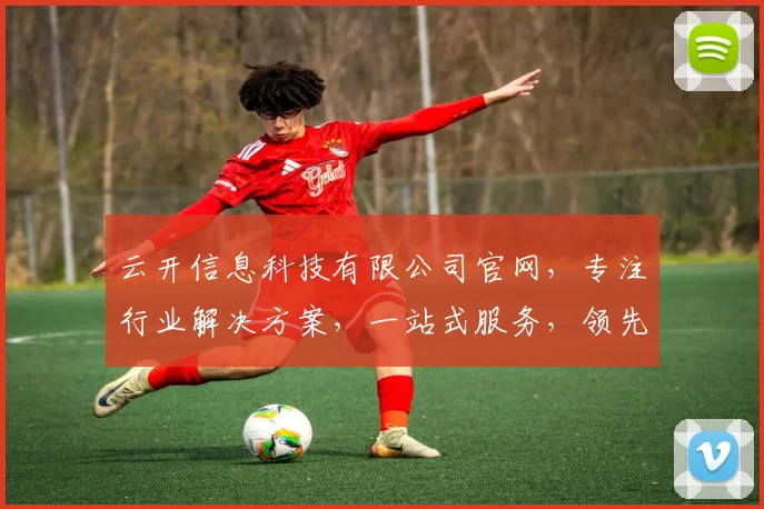 云开信息科技有限公司官网，专注行业解决方案，一站式服务，领先科技，成就卓越企业