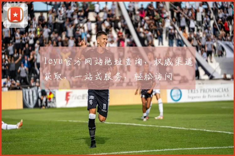 leyu官方网站地址查询，权威渠道获取，一站式服务，轻松访问
